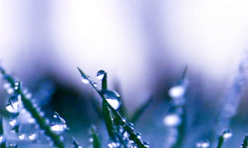 关于黄山导游词介绍 关于黄山导游词介绍